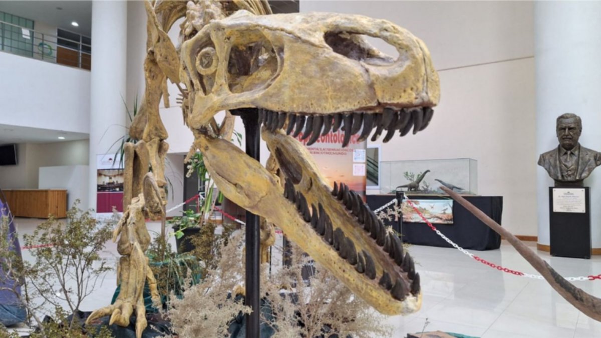 “Dinos en la Legis”: un viaje al cretácico, sin escalas
