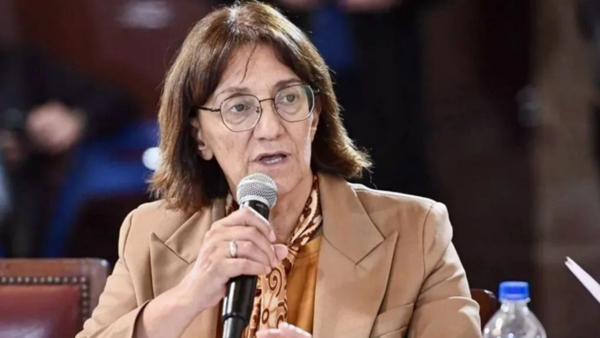Silva sobre la reforma jubilatoria: “La ley viene a decirle al Ejecutivo que los jubilados necesitan una recomposición”