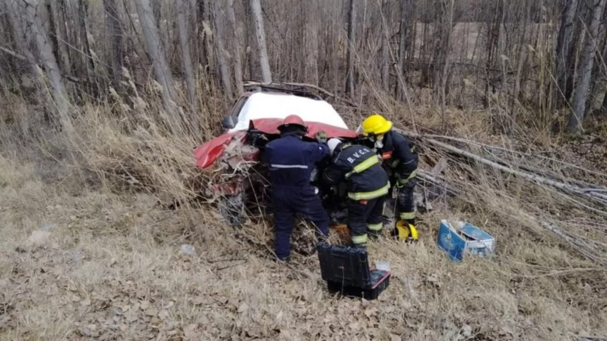 Una mujer despistó y perdió la vida en la ruta 151