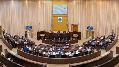 Diputados analizan la reglamentación de la consulta popular