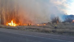 Multa millonaria para el dueño de una chacra por incendio en Parque Agreste
