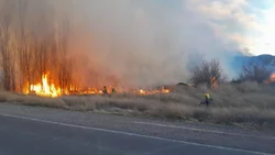 Multa millonaria para el dueño de una chacra por incendio en Parque Agreste