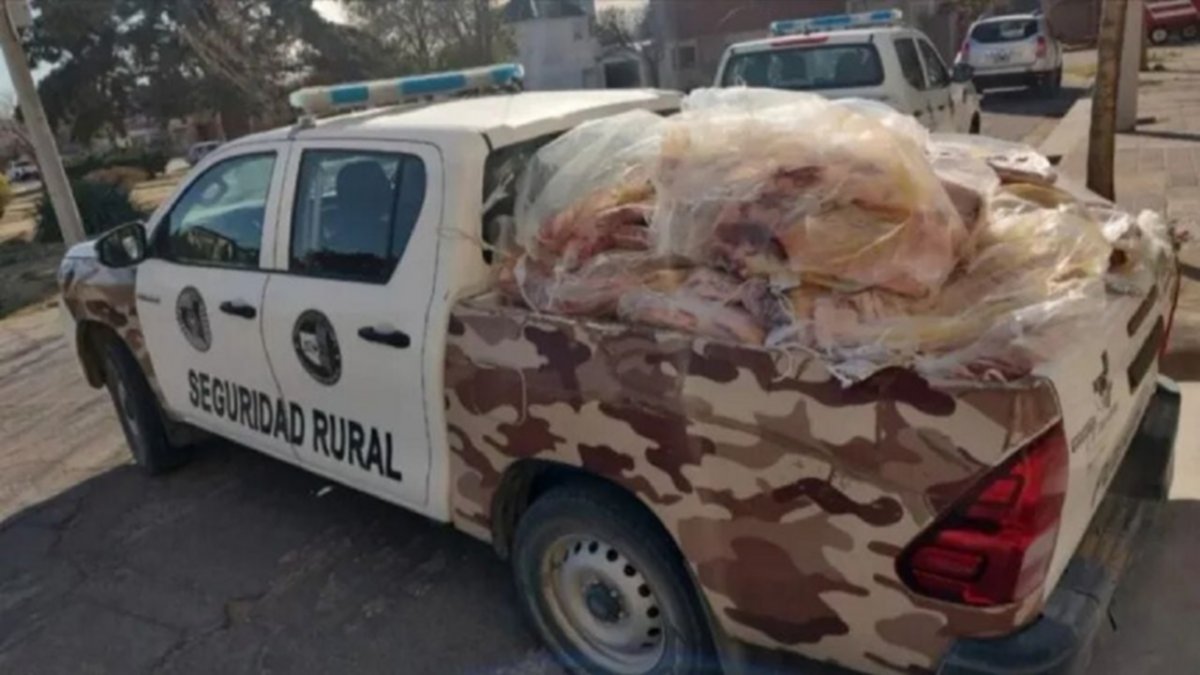 Viajaba a Neuquén con 94 costillares sin cadena de frío, en una camioneta