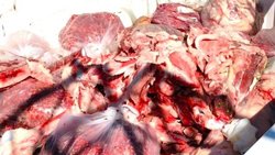 Decomisan 500 kilos de carne de potro faenado furtivamente