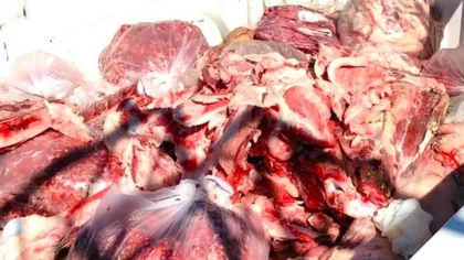 Decomisan 500 kilos de carne de potro faenado furtivamente