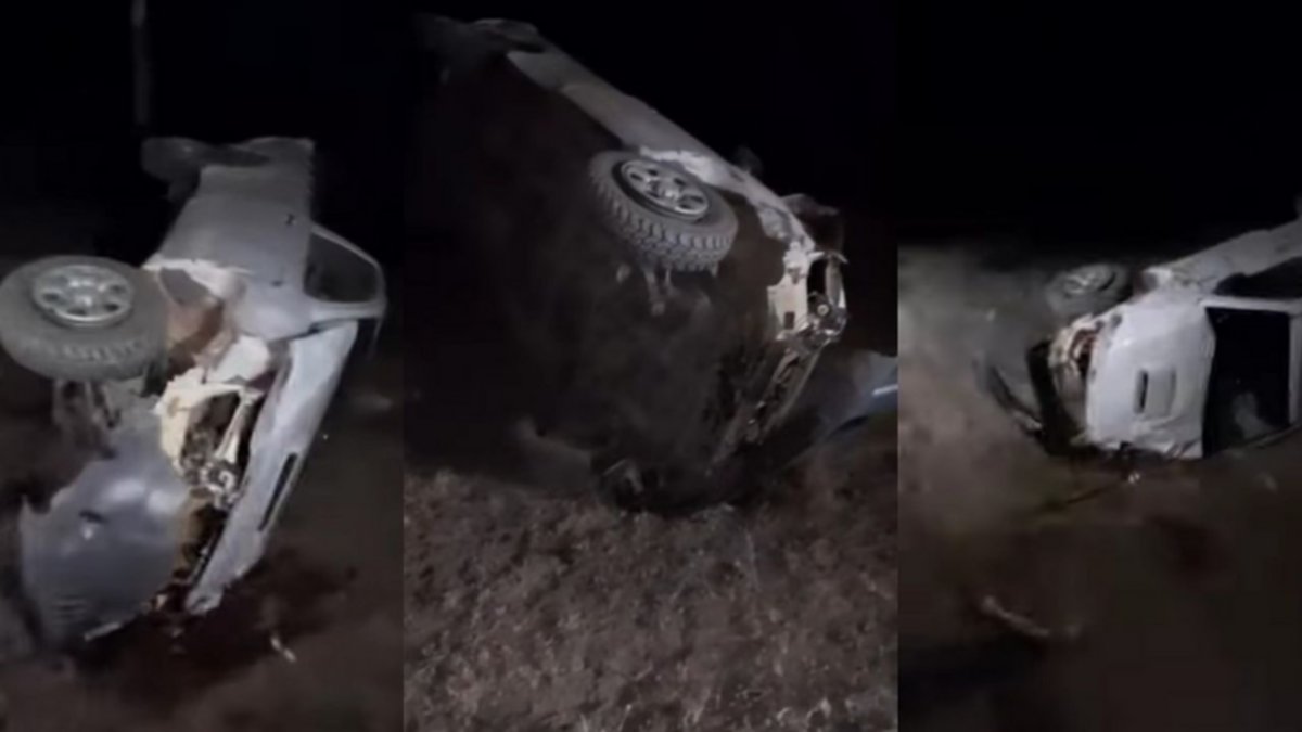 Un municipal atropelló a un animal y volcó en la Ruta 40