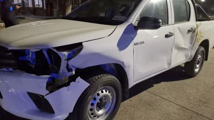 Otro siniestro vial en la Ruta 40 con animales sueltos