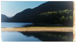 Cómo encontraron al hombre muerto en el lago Falkner