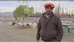 Arreo en Chos Malal: una tradición que se adapta a las condiciones climáticas