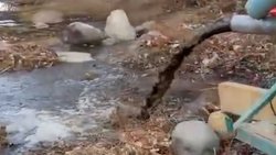 Qué dijo el intendente por la contaminación del río Agrio