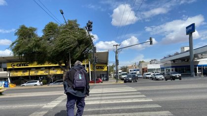 Pronóstico en Neuquén: cómo estará el tiempo en el Alto Valle tras las fuertes ráfagas de viento