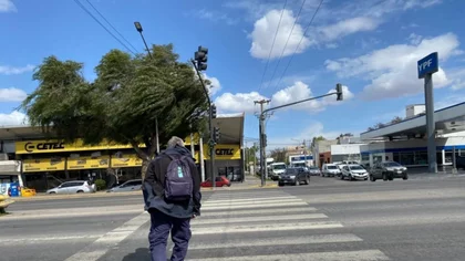 Pronóstico en Neuquén: cómo estará el tiempo en el Alto Valle tras las fuertes ráfagas de viento