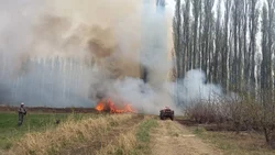Alerta por viento en Neuquén: Bomberos piden no realizar quemas en chacras