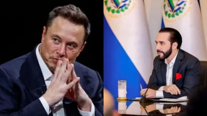 Bukele y Elon Musk conversaron sobre Inteligencia Artificial