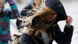 Sigue la alerta amarilla por viento en Neuquén: cómo va a estar esta semana en la capital