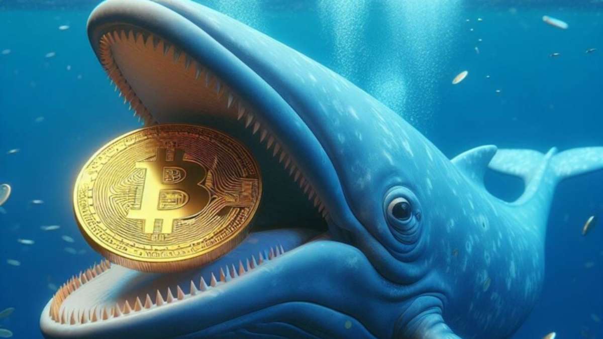 Las 5 ballenas que más Bitcoin acumulan en el mundo, ¿alguna Argentina?