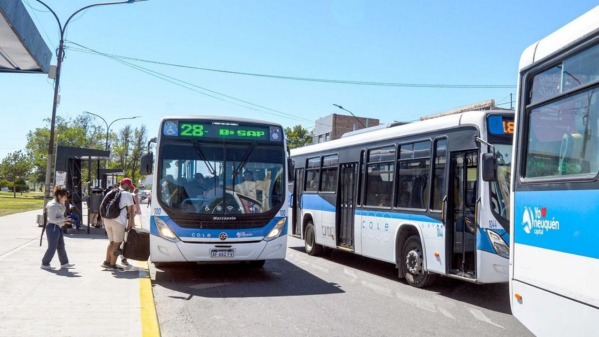 Se viene un nuevo paro de transportes: qué pasará en Neuquén