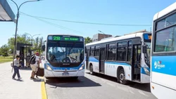 Todo lo que necesitás saber sobre el paro de transporte y cómo afecta a Neuquén