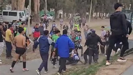 Escandalosa pelea entre jugadores e hinchas en un partido de Lifune