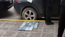 Secuestraron 30 kilos de cocaína de un auto, en Neuquén