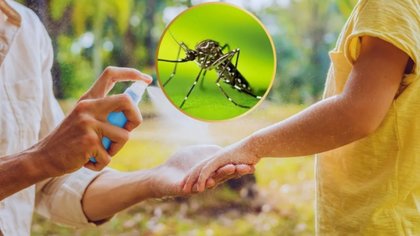 Así se prepara Neuquén para producir su propio repelente