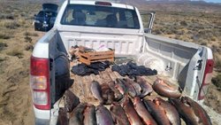 Pescadores furtivos: se les labraron unas 20 actas infracciones