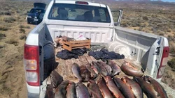 Pescadores furtivos: se les labraron unas 20 actas infracciones