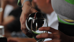 Neuquén se prepara para el Cuarto Salón del Vino con 20 bodegas invitadas