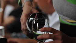 Neuquén se prepara para el Cuarto Salón del Vino con 20 bodegas invitadas