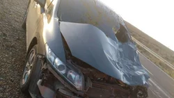 Chocó a una vaca por Ruta 22, abandonó el auto y apareció prendido fuego