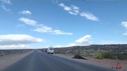Dos conductores chocaron con animales sueltos en la Ruta 5