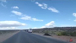 Dos conductores chocaron con animales sueltos en la Ruta 5
