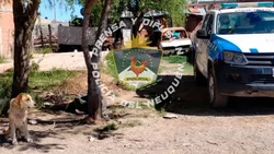 La mujer baleada en Centenario lucha por su vida: el agresor sigue prófugo