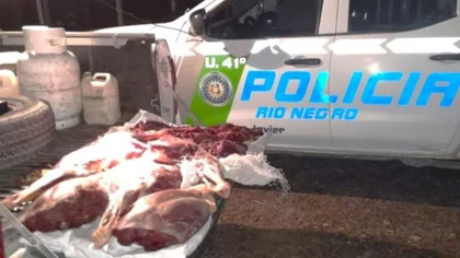 Los agarraron con carne de guanaco y de potro escondida en bolsas de arpillera