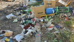 Multa millonaria para un vecino de Cipolletti por tirar basura en la calle