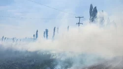 Una localidad de Río Negro se quedó sin luz por un incendio en una chacra