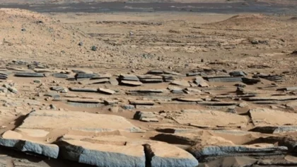 La suma que hay que pagar para vivir en Marte según Elon Musk