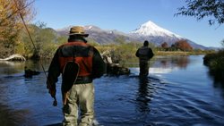 Se abrió la temporada de pesca: ¿Cuánto salen los permisos en Neuquén?