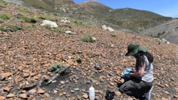 Hallaron fósiles de origen marino en el norte neuquino