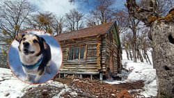 Cerro Dormilón, un refugio soñado y con Toto, un guía de lujo con cuatro patas