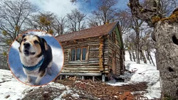 Cerro Dormilón, un refugio soñado y con Toto, un guía de lujo con cuatro patas