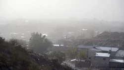 Alerta amarilla en Neuquén: a qué hora dejará de haber viento