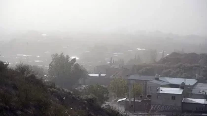 El viento se hará sentir en Neuquén: de cuánto serán las ráfagas