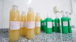 Cómo es el repelente que produce el Gobierno de Neuquén para luchar contra el dengue