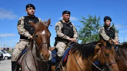 Operativo contra el robo de ganado en la Cordillera de los Andes: los detalles