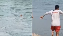 Guardavidas salvaron la vida de una mujer, arrastrada por el río Limay