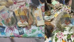 Cinco allanamientos en Centenario: encontraron drogas, armas y dinero en efectivo