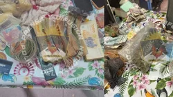 Cinco allanamientos en Centenario: encontraron drogas, armas y dinero en efectivo