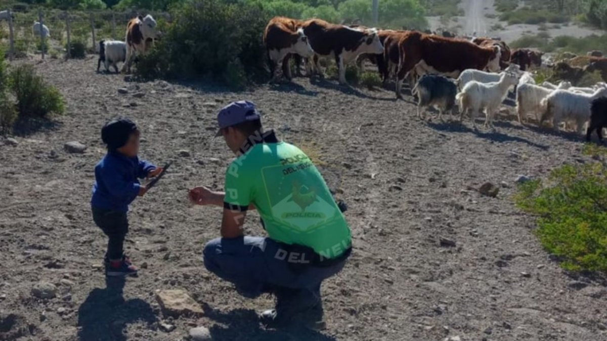 Niños de la trashumancia: la infancia en los campos del norte neuquino