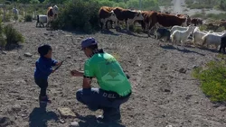 Niños de la trashumancia: la infancia en los campos del norte neuquino